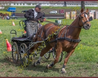 2POSIEUX 0147